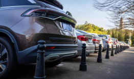 精品区国产,精品区国产生态圈概览